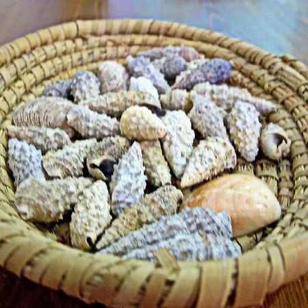 Korona Case de vacanță *