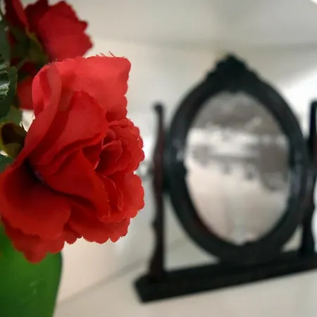 Korona Case de vacanță Vathy (Ithaca)